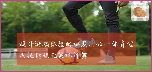 提升游戏体验的秘笈：必一体育官网性能优化策略详解